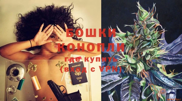 ПСИЛОЦИБИНОВЫЕ ГРИБЫ Михайлов