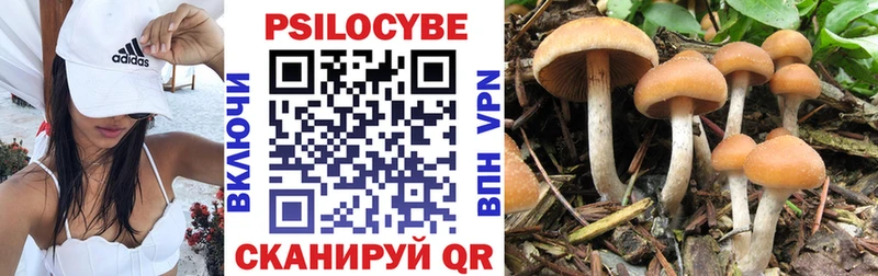 mega   Суджа  Псилоцибиновые грибы Psilocybine cubensis 